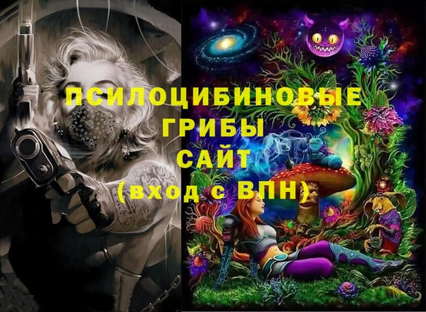 apvp Володарск