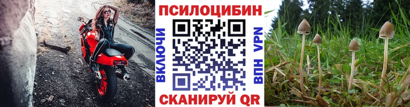 Псилоцибиновые грибы ЛСД  Малоярославец 
