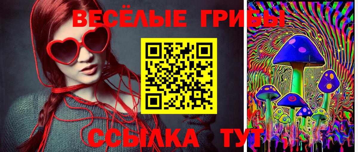 Галлюциногенные грибы мицелий Малоярославец