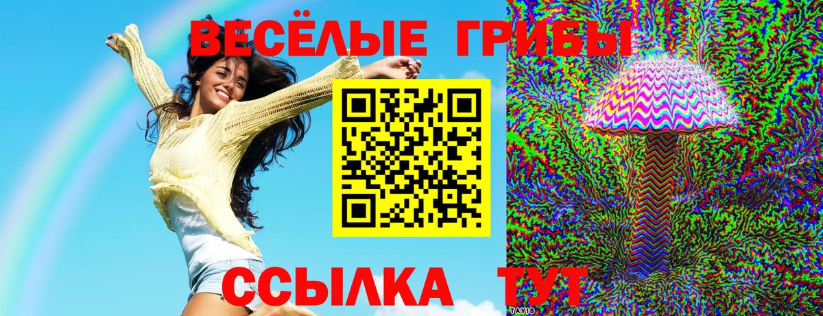 Псилоцибиновые грибы MAGIC MUSHROOMS  Вход с VPN  Псилоцибиновые грибы Magic Shrooms  Малоярославец 