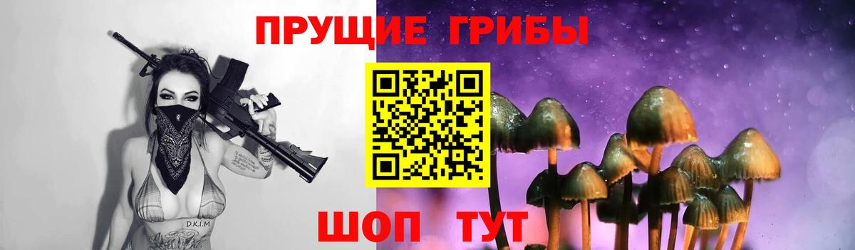 Галлюциногенные грибы Psilocybine cubensis  наркотики  Малоярославец 