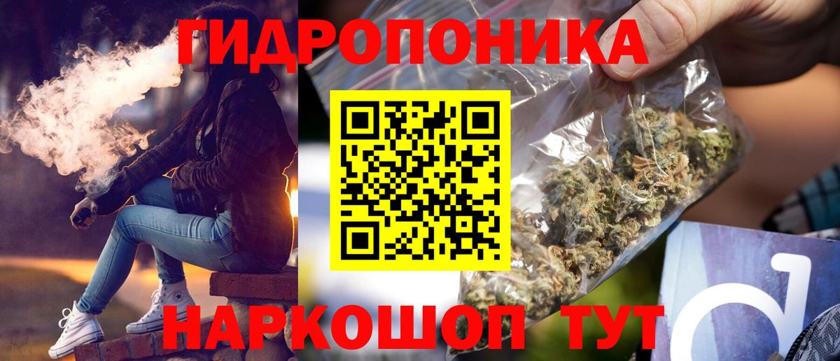 Марихуана OG Kush  Малоярославец  Каннабис план 